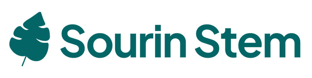 Stem: Understand programming in-depth for free